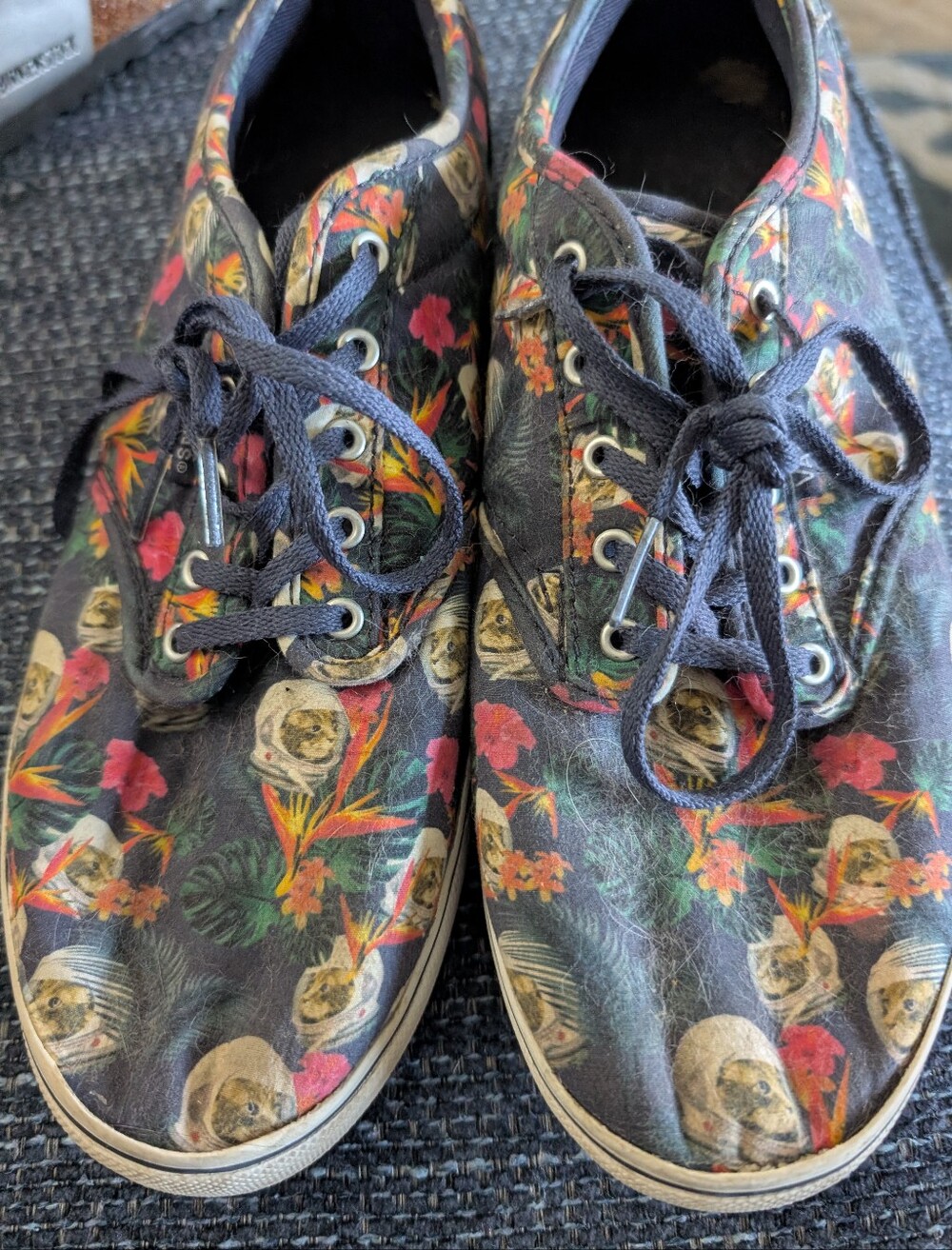 Women's Cosmic Cat Vans Hard To Find Sneakers From 2015 Size 10womens